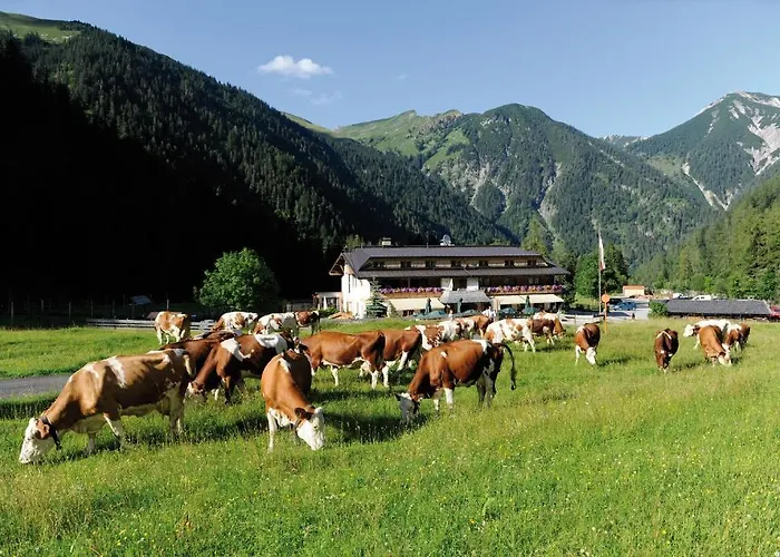 Alpengasthof Gern Alm Gasthof 4*