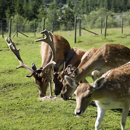 Alpengasthof Gern Alm 페르티사우
